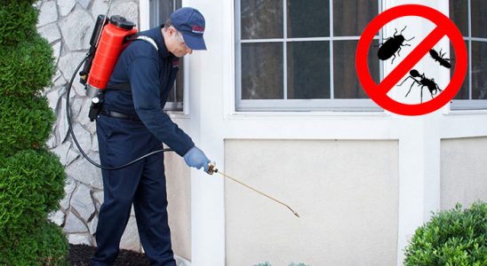 Bozyazı Hamam Böceği İlaçlama böcek ilaçlama ve haşere kontrolü — ilaclama-tr.com